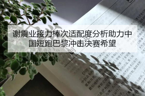 谢震业接力棒次适配度分析助力中国短跑巴黎冲击决赛希望